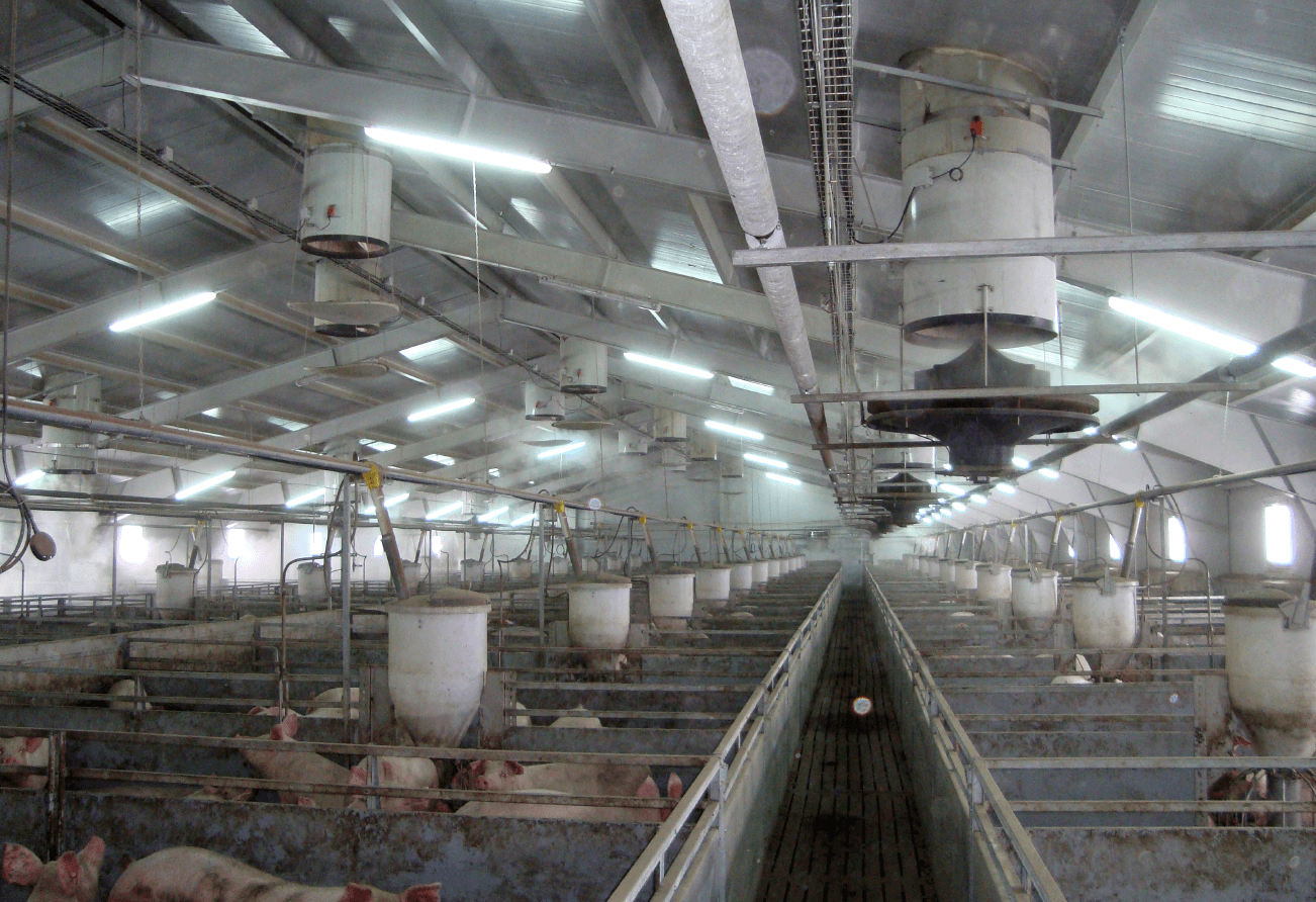 Агроферма - проектирование освещения от компании Световые Технологии