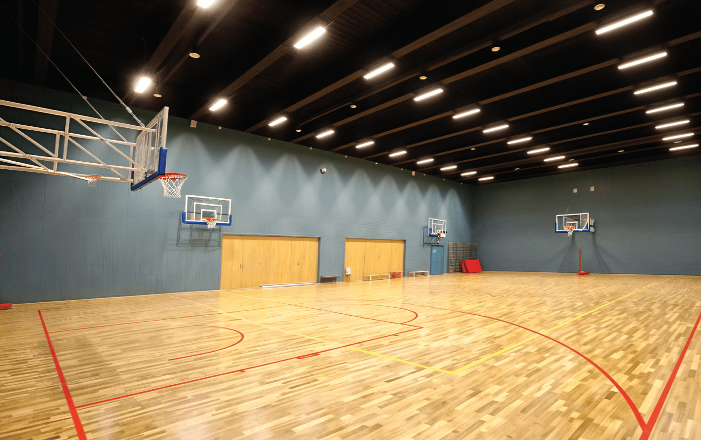 спортивные залы - проектирование освещения от компании Световые Технологии